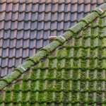 Roof Moss Removal