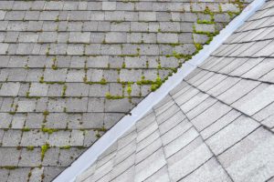 3 Reasons Why DIY Roof Cleaning Isn’t a Good Idea