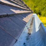 Do Your Gutters Need To Be Cleaned?