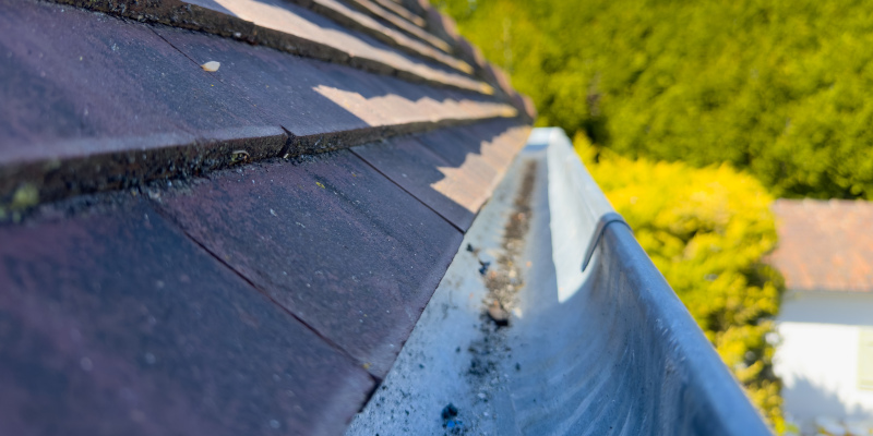 Do Your Gutters Need To Be Cleaned?