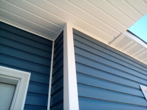 Siding Washing: The Hidden Dangers of Mold and Mildew on Your Siding