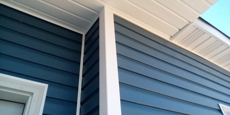 Siding Washing: The Hidden Dangers of Mold and Mildew on Your Siding 