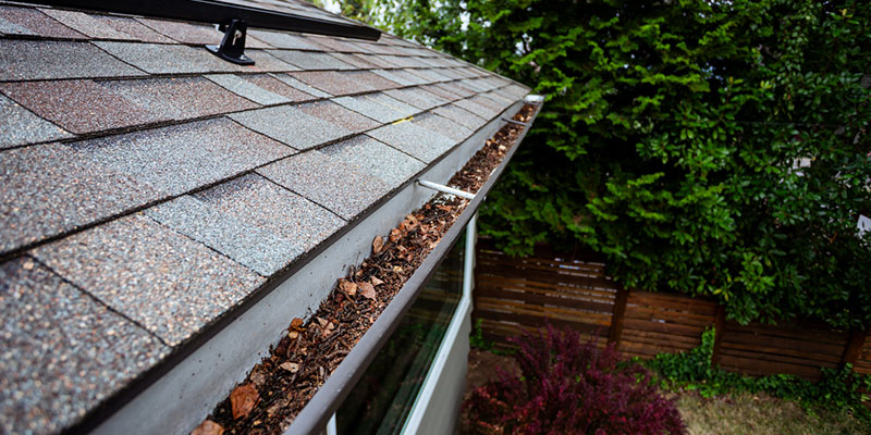How Gutter Cleaning Helps Prevent Costly Water Damage